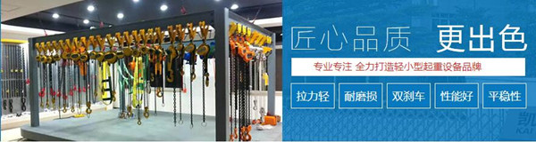 成都電動葫蘆哪家好 成都電動葫蘆哪家好